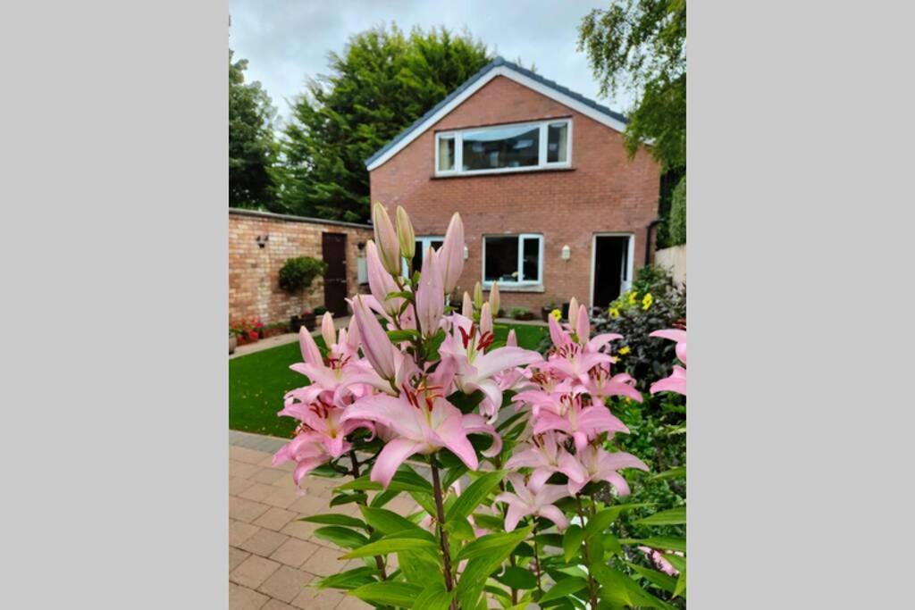Bt 9 Granny Flat & Walled Garden Belfast Exterior foto